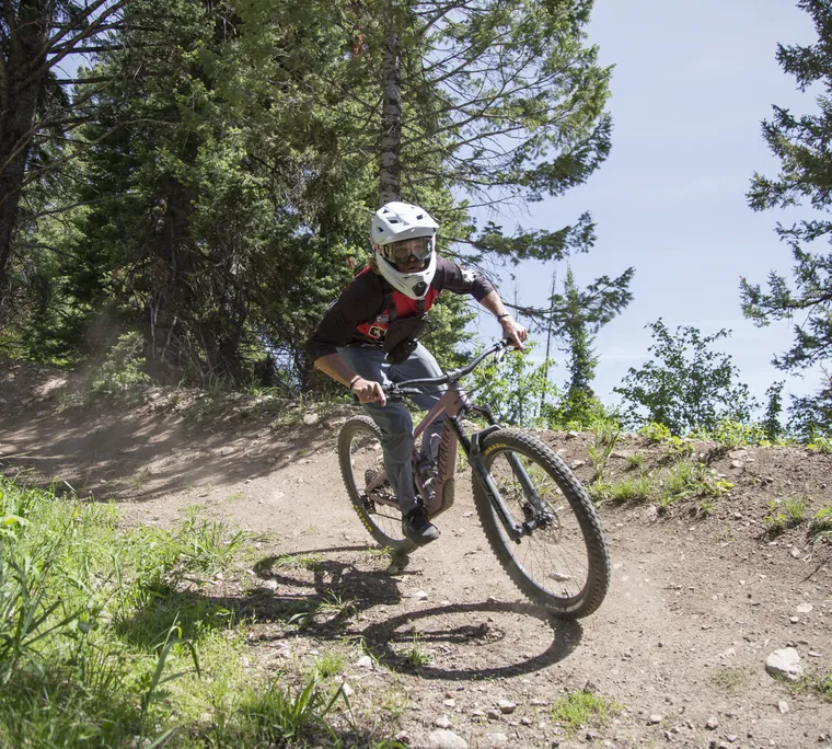 A mountain biker riding forest singletrack